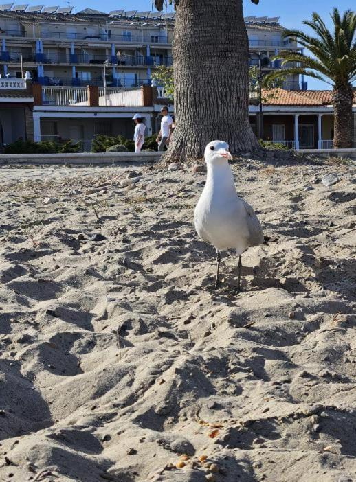 실세스 Habitacion En Piso Compartido Cerca De Playa 아파트 외부 사진